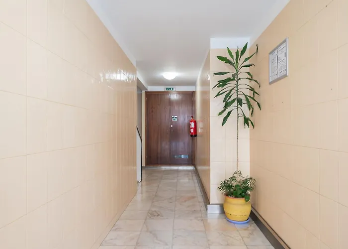 Apartment Refugio No Porto